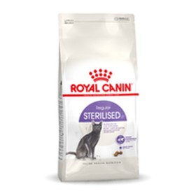 Aliments pour chat Dolina Noteci Rafi Adulte Poulet 7 kg | Tienda24 - Global Online Shop Tienda24.eu