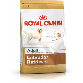 Fodder Royal Canin Labrador Retriever Adult Adult Chicken Rice Birds 12 kg by Royal Canin, Dry - Ref: S9105433, Price: 68,98 ...