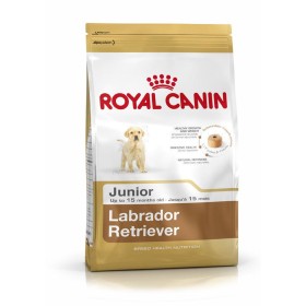 Pienso Royal Canin Labrador Retriever Junior Cachorro/Junior Pollo Arroz Maíz Aves 12 kg de Royal Canin, Seca - Ref: S9105434...