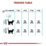 Comida para gato Royal Canin Urinary Care Adulto Pollo Aves 2 Kg | Tienda24 - Global Online Shop Tienda24.eu