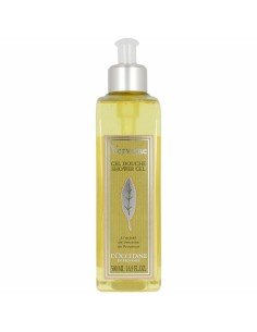 Gel de Duche Perfumado Dsquared2 Green Wood 250 ml | Tienda24 Tienda24.eu