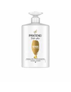 Shampooing Nirvel 8435054669361 (250 ml) | Tienda24 Tienda24.eu