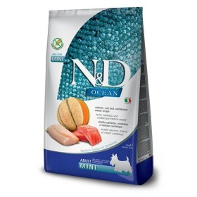 Comida para cão Farmina N&D Adulto Salmão Bacalhau 2,5 kg de Farmina, Seca - Ref: S9108896, Preço: 35,79 €, Desconto: %