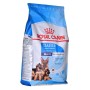 mangime Royal Canin Maxi Starter Mother & Babydo Uccelli 4 Kg | Tienda24 - Global Online Shop Tienda24.eu