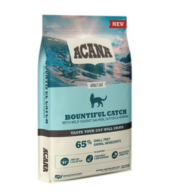 Cat food Royal Canin Adult Chicken Rice Corn Vegetable Birds 10 kg | Tienda24 - Global Online Shop Tienda24.eu