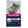 Comida para gato Eukanuba Grain Free Kitten Salmon Peixe 2 Kg | Tienda24 - Global Online Shop Tienda24.eu