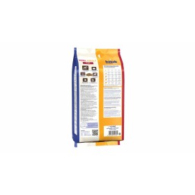 Leche Corporal L'Occitane En Provence Karite 250 ml