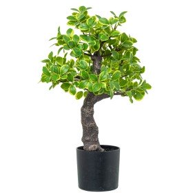 Plante décorative 37 x 37 x 41 cm Vert PVC | Tienda24 Tienda24.eu