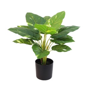 Planta Decorativa Plástico 11 x 18 x 11 cm Verde Cinzento (12 Unidades) | Tienda24 Tienda24.eu