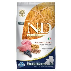 Nourriture Farmina Grain Puppy Medium&Maxi Lamb Agneau 12 kg de Farmina, Sèche - Réf : S9110447, Prix : 87,29 €, Remise : %