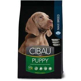 mangime Purina Adulto Mais 3 Kg | Tienda24 - Global Online Shop Tienda24.eu