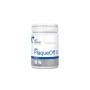 Food Supplement VETEXPERT | Tienda24 - Global Online Shop Tienda24.eu