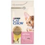 Comida para gato Purina Cat Chow Kitten Frango 1,5 Kg | Tienda24 - Global Online Shop Tienda24.eu