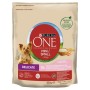 Pienso Purina One Mini/Small Sensitive Adulto Salmón Pescado 800 g | Tienda24 - Global Online Shop Tienda24.eu