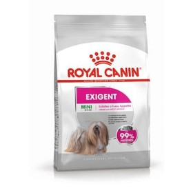 mangime Royal Canin Mini Exigent Adulto Pollo Uccelli 3 Kg di Royal Canin, Secco - Rif: S9111222, Prezzo: 28,98 €, Sconto: %