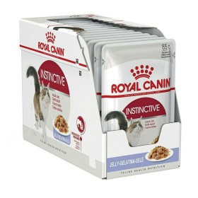 Cibo per gatti Hill's Digestive Pollo 3 Kg | Tienda24 - Global Online Shop Tienda24.eu