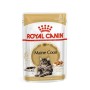 Cat food Royal Canin RC POS musthave Meat 12 x 85 g | Tienda24 - Global Online Shop Tienda24.eu