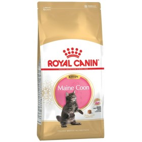 Cibo per gatti Royal Canin Maine Coon Kitten Riso Uccelli 2 Kg di Royal Canin, Secco - Rif: S9111296, Prezzo: 41,66 €, Sconto: %