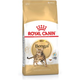 Katzenfutter Royal Canin Bengal Adult Erwachsener Pflanzlich Vögel 10 kg von Royal Canin, Trocken - Ref: S9111298, Preis: 99,...