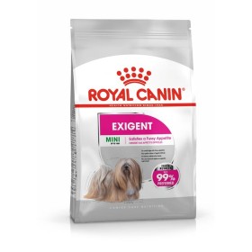 Fodder Royal Canin Mini Exigent 1kg Adult Chicken Vegetable 1 kg by Royal Canin, Dry - Ref: S9111320, Price: 13,66 €, Discoun...