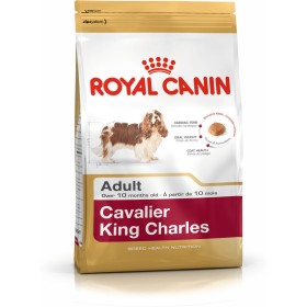 Fodder Royal Canin Cavalier King Charles Adult 1,5 Kg by Royal Canin, Dry - Ref: S9111323, Price: 17,57 €, Discount: %