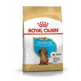 penso Royal Canin Yorkshire Terrier 8+ Pássaros 3 Kg | Tienda24 - Global Online Shop Tienda24.eu