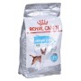 mangime Royal Canin Urinary Adulto Mais Uccelli 1 kg | Tienda24 - Global Online Shop Tienda24.eu