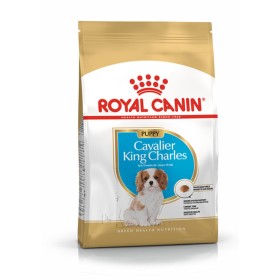 Fodder Royal Canin Cavalier King Charles Spaniel Puppy Kid/Junior Birds 1,5 Kg by Royal Canin, Dry - Ref: S9111328, Price: 18...