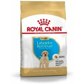 Futter Royal Canin Welpe/Junior Huhn 3 Kg von Royal Canin, Trocken - Ref: S9111331, Preis: 32,51 €, Rabatt: %