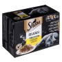 Comida para gato Sheba Delicacy in Jelly Pollo Pavo Pato Aves 100 g | Tienda24 - Global Online Shop Tienda24.eu