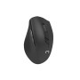 clavier et souris Natec Stingray Noir QWERTY Qwerty US | Tienda24 - Global Online Shop Tienda24.eu