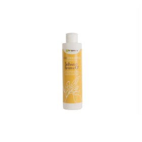 Shampoo Txtr Sleek Cleansing Oil Cantu 51402 (473 ml) | Tienda24 Tienda24.eu