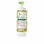 Shampoo gegen Knoten Klorane Junior Peach 500 ml | Tienda24 Tienda24.eu