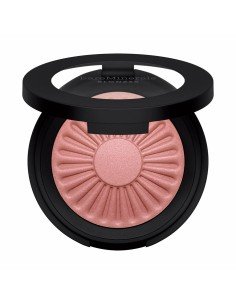 Blush Shiseido 4045787231045 Nº 07 | Tienda24 Tienda24.eu