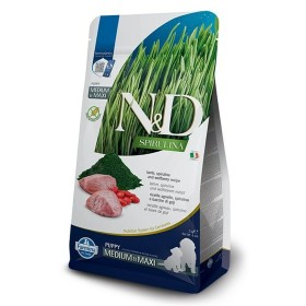 Futter Farmina Puppy MED/MAXI Welpe/Junior Lamm 2 Kg Spirulina von Farmina, Trocken - Ref: S9132332, Preis: 42,75 €, Rabatt: %