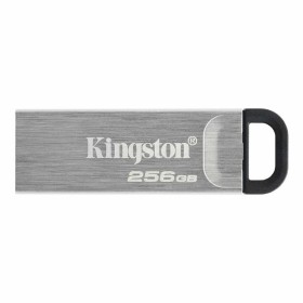 Clé USB Kingston DTKN/256GB USB 3.2 Argenté 256 GB de Kingston, Clés USB - Réf : S9146062, Prix : 24,84 €, Remise : %