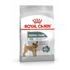 Nourriture Royal Canin Adulte Oiseaux 3 Kg de Royal Canin, Sèche - Réf : S9147294, Prix : 29,42 €, Remise : %