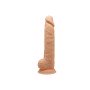 Dildo Silexd | Tienda24 Tienda24.eu