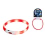 Laisse pour Chien Hilton LED | Tienda24 - Global Online Shop Tienda24.eu