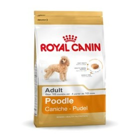 Nourriture Royal Canin Poodle Adult Adulte Poulet 1,5 Kg de Royal Canin, Sèche - Réf : S9169676, Prix : 17,38 €, Remise : %