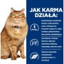 Comida para gato Hill's PD K/D Kidney Frango 3 Kg | Tienda24 - Global Online Shop Tienda24.eu