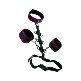 Gode ceinture XR Noir | Tienda24 Tienda24.eu