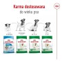 mangime Royal Canin Adult Mini S Uccelli 2 Kg | Tienda24 - Global Online Shop Tienda24.eu