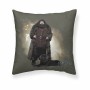 Capa de travesseiro Harry Potter Hagrid Multicolor 50 x 50 cm | Tienda24 - Global Online Shop Tienda24.eu