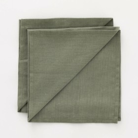 Napkins Belum Multicolour Military green Linen 50 x 50 cm 2 Units by Belum, Cloth Napkins - Ref: S9802885, Price: 15,90 €, Di...