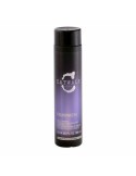 Champô Clareador Loiros Catwalk Tigi Catwalk 750 ml | Tienda24 Tienda24.eu