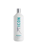 Strengthening Treatment Proshield I.c.o.n. (1000 ml) | Tienda24 Tienda24.eu