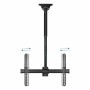 TV Ceiling Support TooQ LPCE1170TSLI-B by TooQ, TV tables and stands - Ref: S9907551, Price: 68,69 €, Discount: %