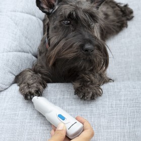 Electric Nail File for Pets PediPet InnovaGoods by InnovaGoods, Nail care - Ref: V0103171, Price: 7,82 €, Discount: %