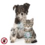 Antiparassitario a Ultrasuoni Ricaricabile per Animali Domestici PetRep InnovaGoods | Tienda24 - Global Online Shop Tienda24.eu